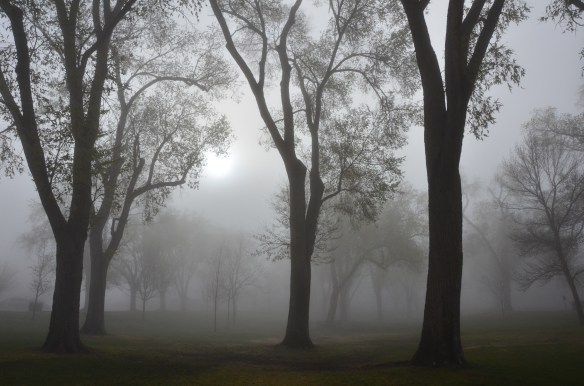 ©Nicole Blaisdell Ivey