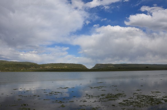 Stone Lake Jicarilla Apache Reservation, NM ©Nicole Blaisdell Ivey